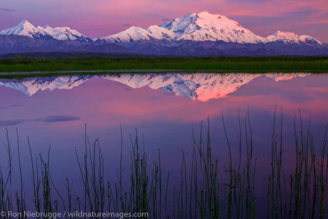 Denali Reflection
