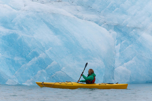Kayaking Prince William Sound