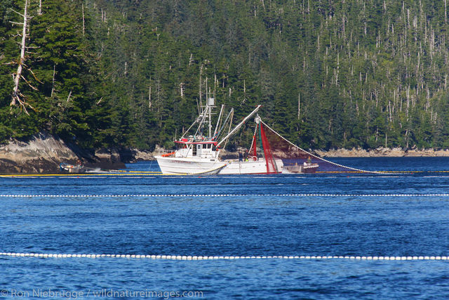 Commercial Salmon Fishing