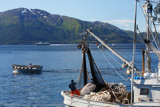 Commercial Salmon Fishing
