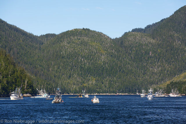 Commercial Salmon Fishing