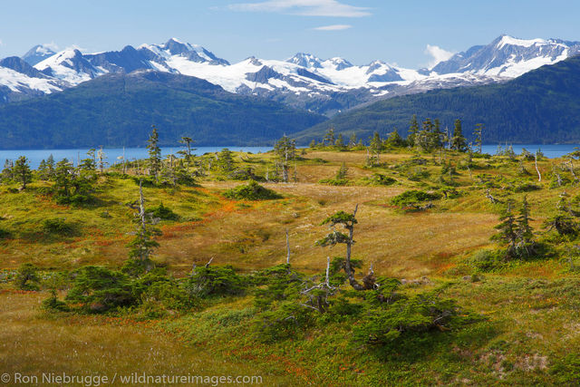 Hiking, Prince William Sound