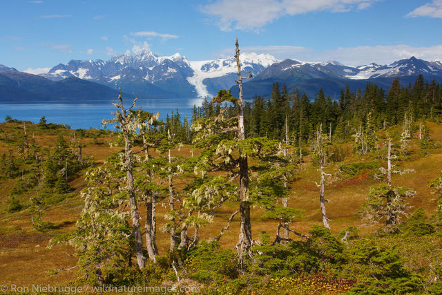 Hiking, Prince William Sound