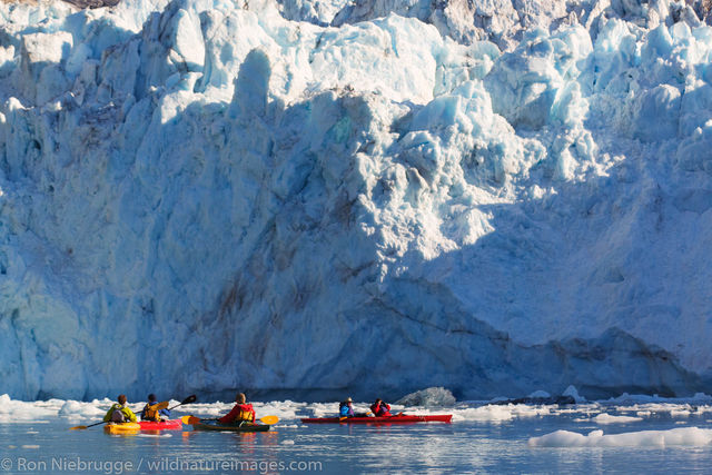 Kayaking in front of Barry Glacier