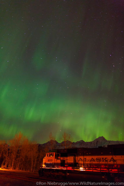 Northern Lights