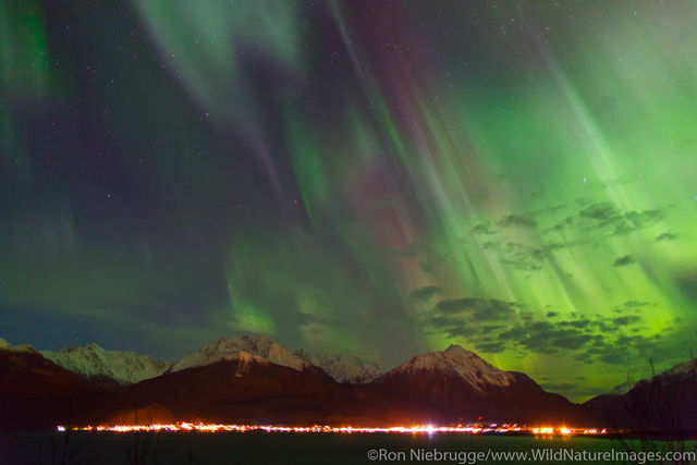 Northern Lights over Seward Boat Harbor