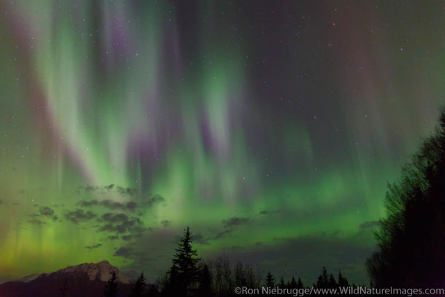 Aurora Borealis over Seward