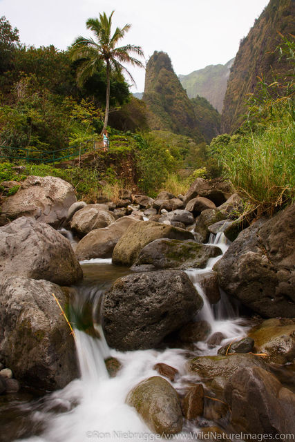 Iao Valley State Monument