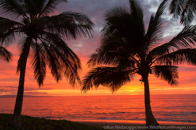 Mai Poina 'Oe La'u Beach Park