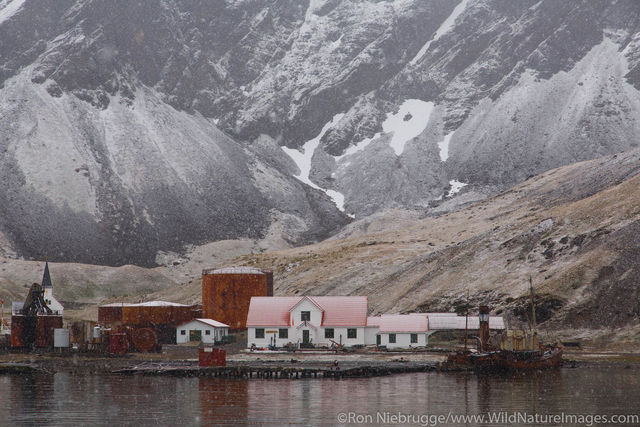Grytviken