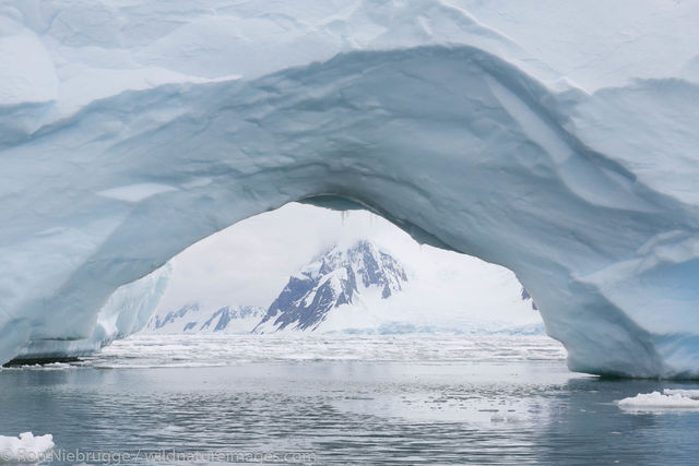 Antarctica