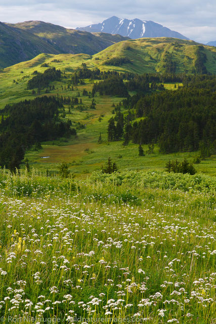 Lost Lake Trail