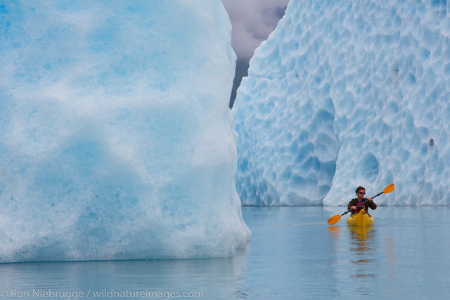 Kayaking in Bear Glacier Lagoon