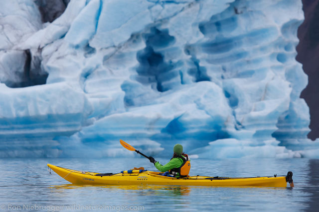 Bear Glacier Lagoon