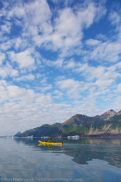 Kayaking in Bear Glacier Lagoon
