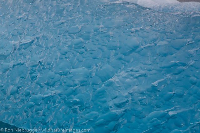 Icebergs, Le Conte Bay
