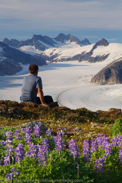 Hiker above the Mendenhall Glacier