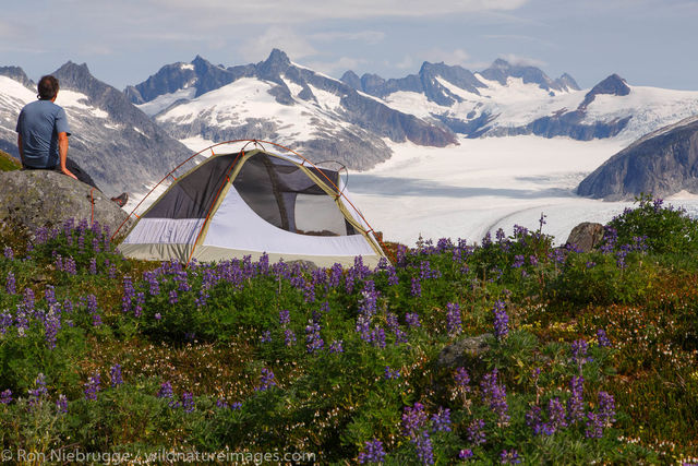 Camping above the Mendenhall Glacier