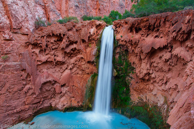 Havasu Falls