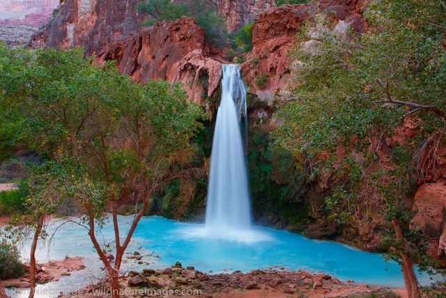 Havasu Falls
