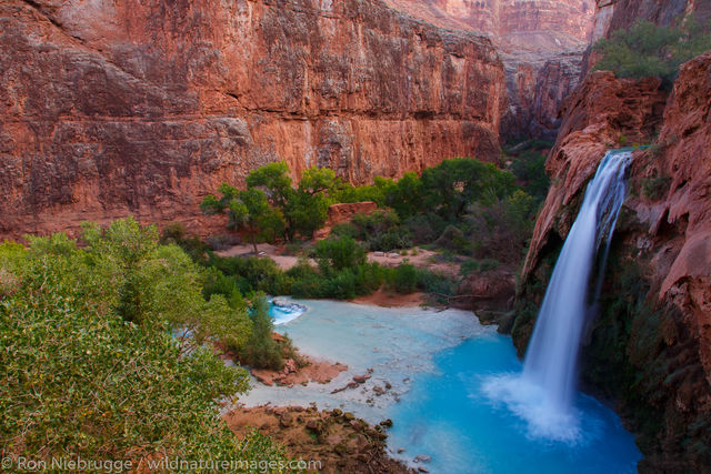 Havasu Falls