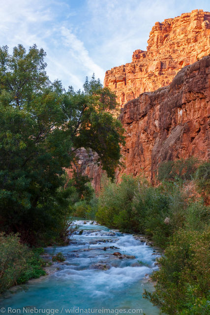 Havasu Falls Creek
