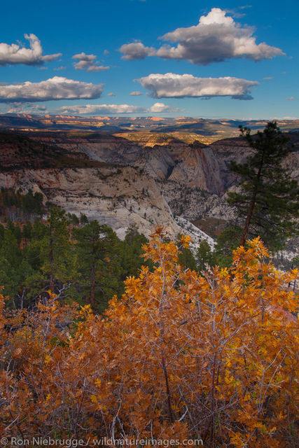 West Rim Trail, Zion National Park, Utah