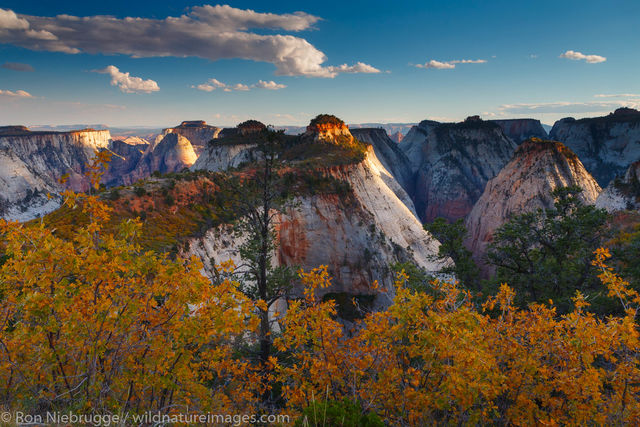 West Rim Trail