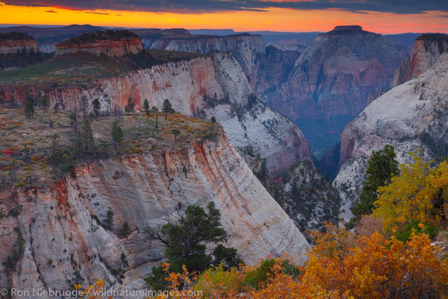 West Rim Trail