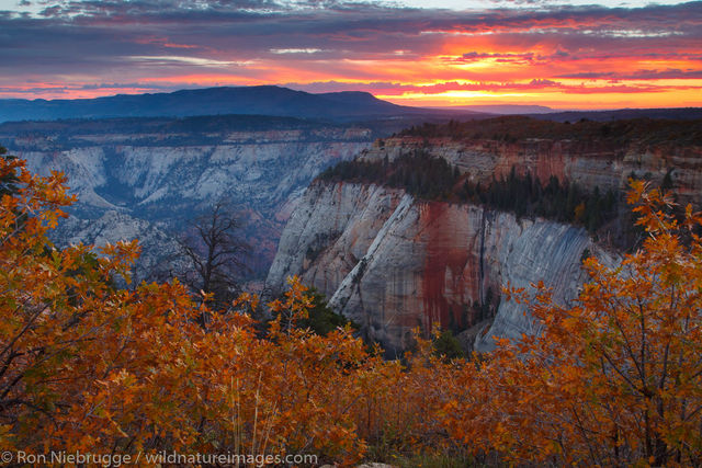 West Rim Trail