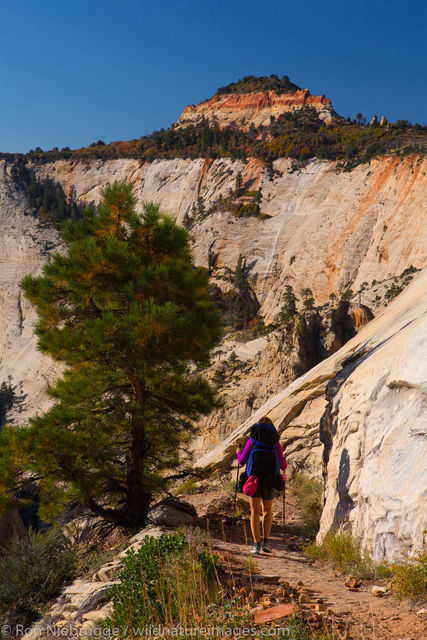 West Rim Trail, Zion National Park, Utah