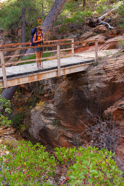 West Rim Trail, Zion National Park, Utah