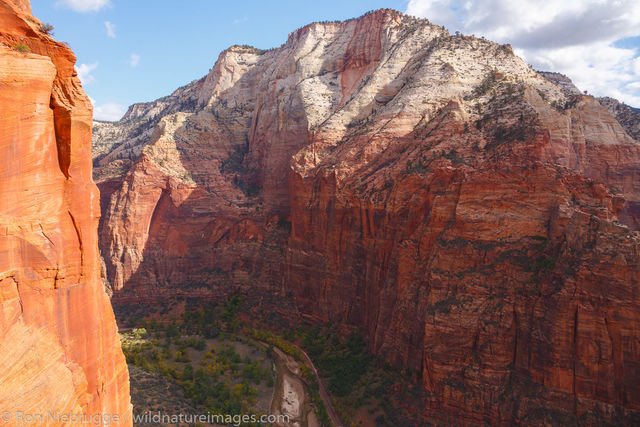View from Rim Trail, Zion
