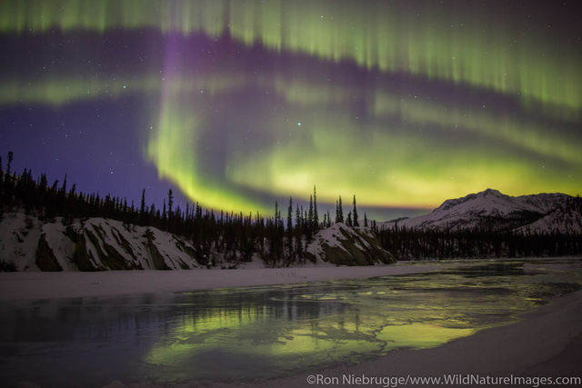 Aurora Reflection