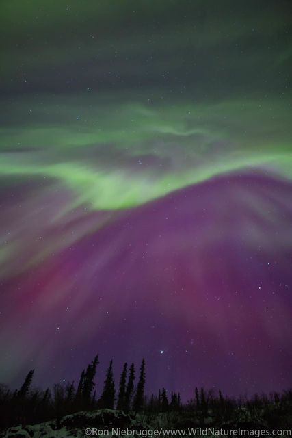 Northern Lights