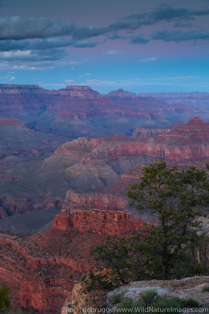 Maricopa Point