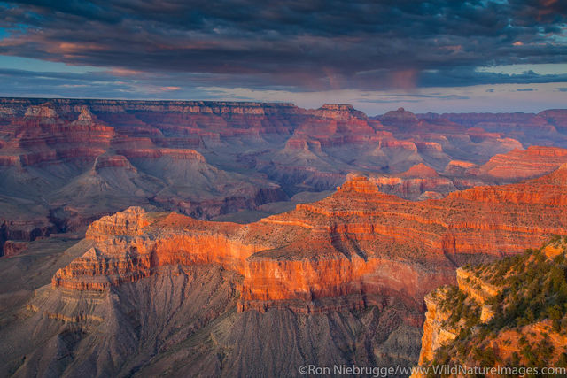 Yavapai Point