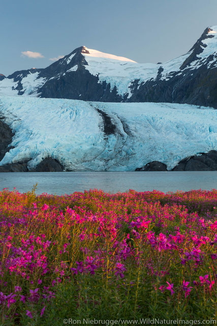 Portage Glacier