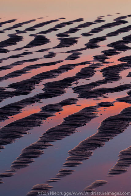 Sand Patterns at sunrise