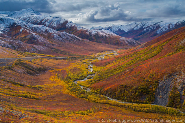 Brooks Range