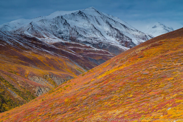 Brooks Range