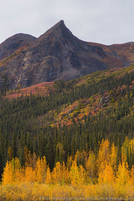 Brooks Range