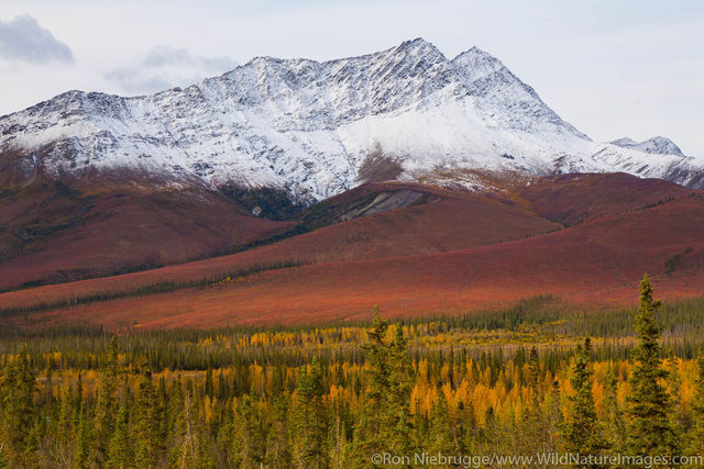 Autumn Landscape