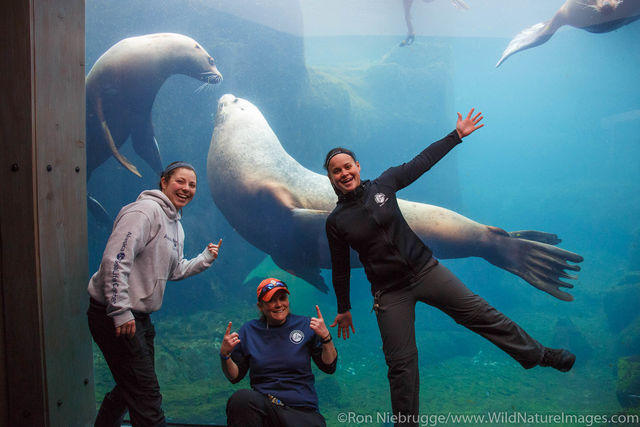 Alaska Sealife Center