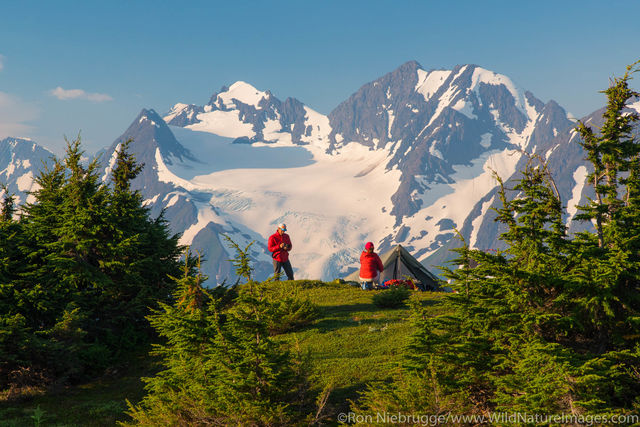 Camping Spencer Glacier Bench