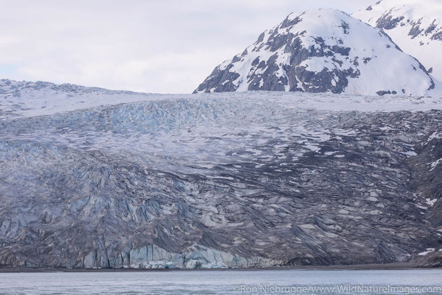 Reid Glacier