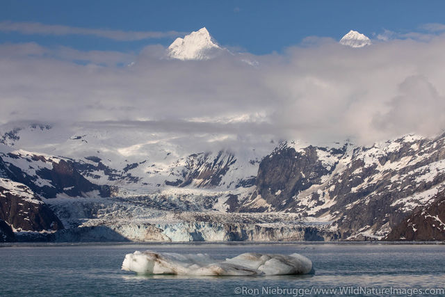 John Hopkins Glacier