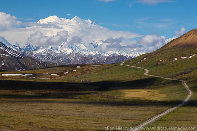 Denali National Parkl