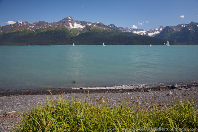 Resurrection Bay