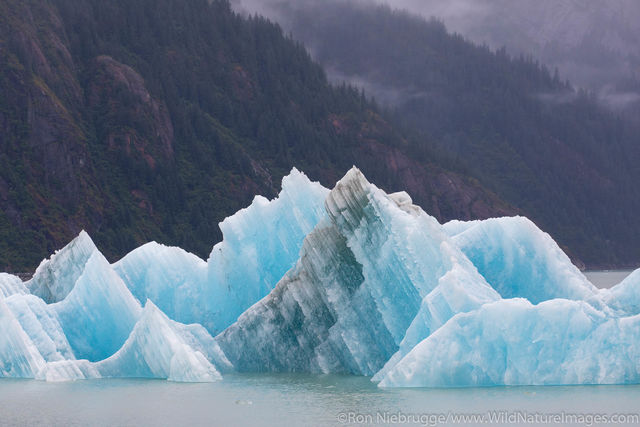 Iceberg